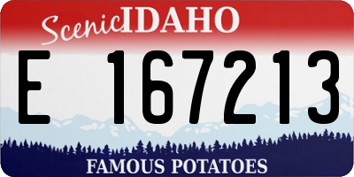 ID license plate E167213