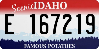 ID license plate E167219