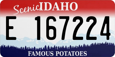 ID license plate E167224