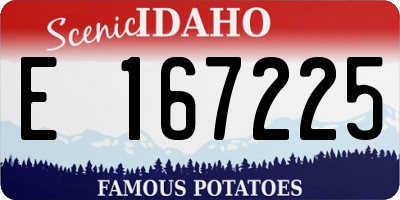 ID license plate E167225