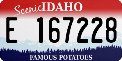 ID license plate E167228