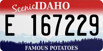 ID license plate E167229
