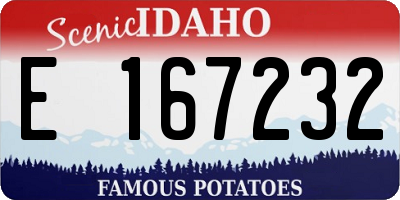 ID license plate E167232
