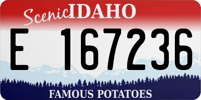 ID license plate E167236
