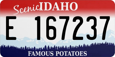 ID license plate E167237