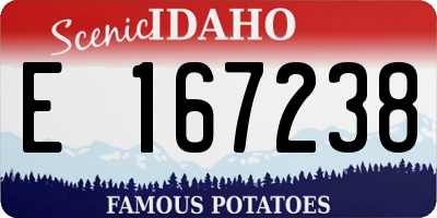 ID license plate E167238
