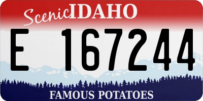 ID license plate E167244