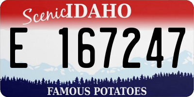 ID license plate E167247