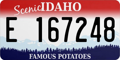 ID license plate E167248