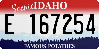 ID license plate E167254