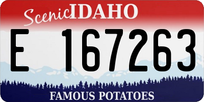 ID license plate E167263
