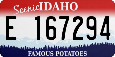 ID license plate E167294