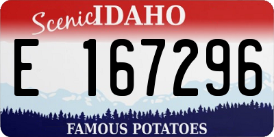 ID license plate E167296