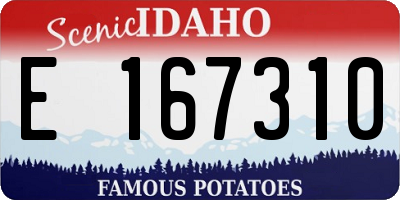 ID license plate E167310