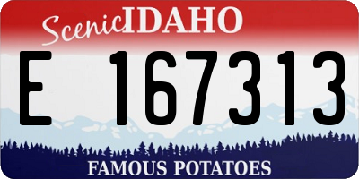 ID license plate E167313