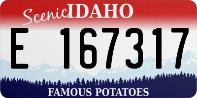 ID license plate E167317