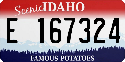 ID license plate E167324