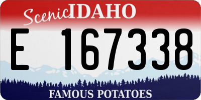 ID license plate E167338