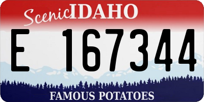 ID license plate E167344