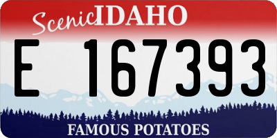 ID license plate E167393
