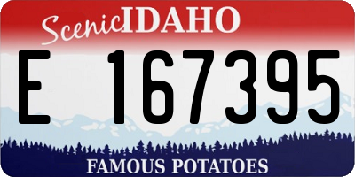 ID license plate E167395