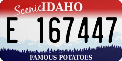 ID license plate E167447