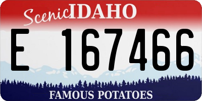 ID license plate E167466