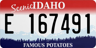 ID license plate E167491