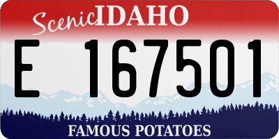 ID license plate E167501