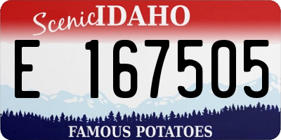 ID license plate E167505