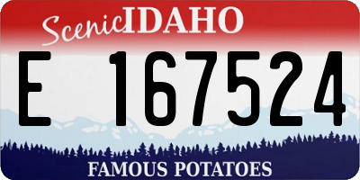 ID license plate E167524