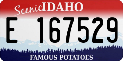 ID license plate E167529
