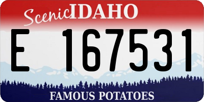 ID license plate E167531