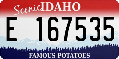 ID license plate E167535