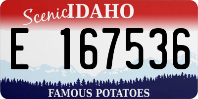 ID license plate E167536