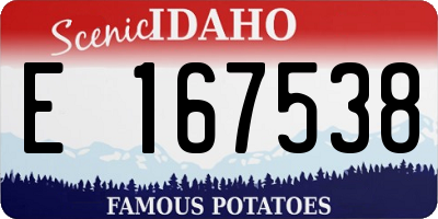 ID license plate E167538