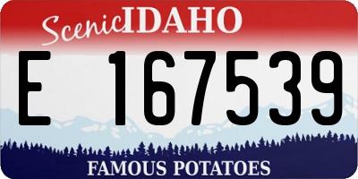 ID license plate E167539