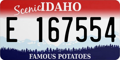 ID license plate E167554