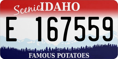 ID license plate E167559