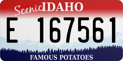ID license plate E167561