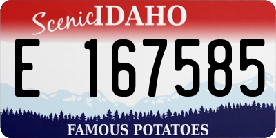 ID license plate E167585