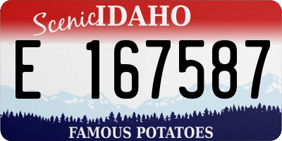 ID license plate E167587