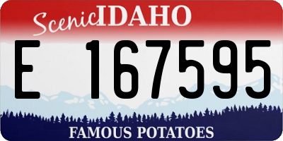 ID license plate E167595