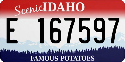ID license plate E167597