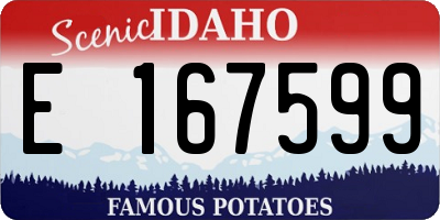 ID license plate E167599