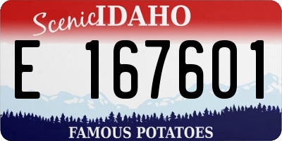 ID license plate E167601