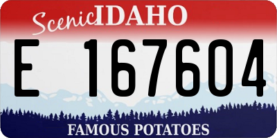 ID license plate E167604
