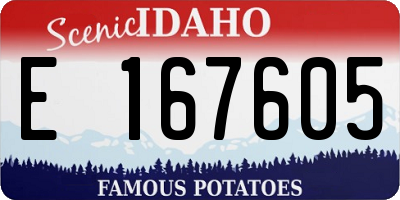 ID license plate E167605