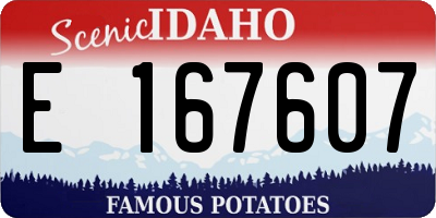 ID license plate E167607