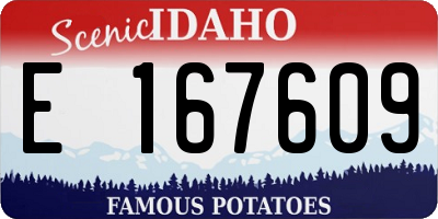 ID license plate E167609